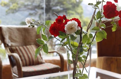 San Jose Apartment | Budget-Friendly Stay at Alojaminto Ester González for Families