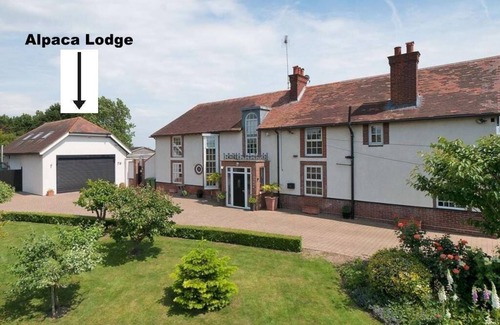 Sittingbourne Cabin | Indulge at Alpaca Lodge: Rated 10/10 with Pool & Kitchen