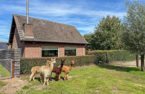 Vorstenbosch House | Pet-Friendly Retreat at Alpacafarm Vorstenbosch - 9/10 Rating