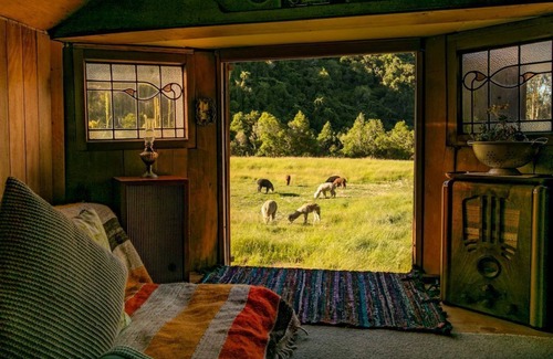 Upper Takaka House | Discover Alpacas Off Grid - Unique House Truck Getaway
