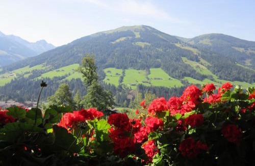 Alpbach Apartment | Alpbachblick: Family-Friendly Retreat with Hot Tub Access
