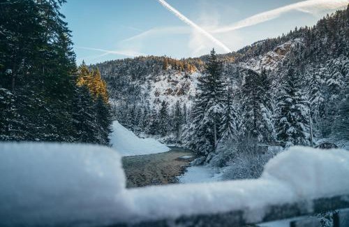 Scharnitz Apartment | Discover Alpe Chalets Goldener Hirsch: 4-Star Retreat with Hot Tub