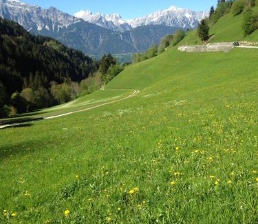 Volders Apartment | Family-Friendly Alpen-Appartement Auerhof with Kitchen Access