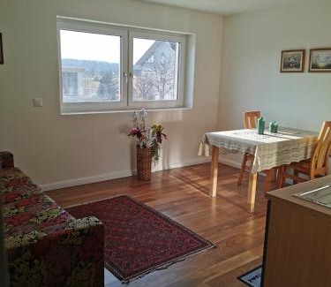 Oberbuchsiten House | Pet-Friendly Alpenblick Monteurzimmer for Your Getaway