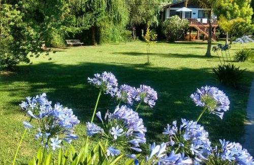 Partido de Tigre Hotel | Guest Rated 10/10: Alpenhaus Bier und Gasthaus Awaits