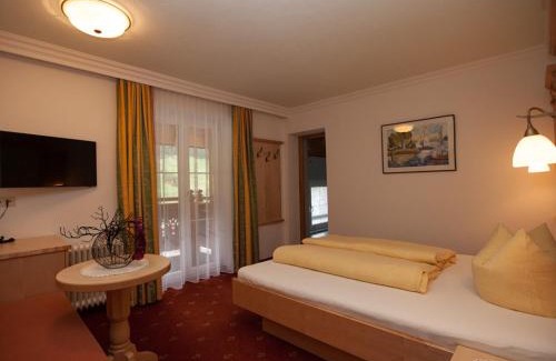 Ischgl Hotel | Alpenhotel Erika: Pet-Friendly Retreat with Hot Tub & Breakfast