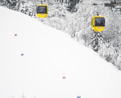 Fieberbrunn Apartment | Discover Alpenstyle Resort Fieberbrunn: Pet-Friendly Escape