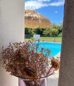 Arles House | Experience Alpilles Camargue Mas Falabrego: Guest Rated 9.6