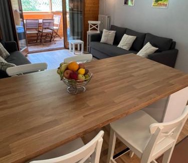 Vionnaz Apartment | Charming Alpine Apartment in Scenic Torgon Village