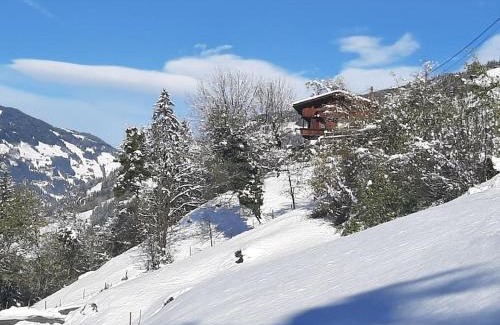 Eckartau Apartment | Alpine Cottage with Breathtaking Views & Family-Friendly Amenities