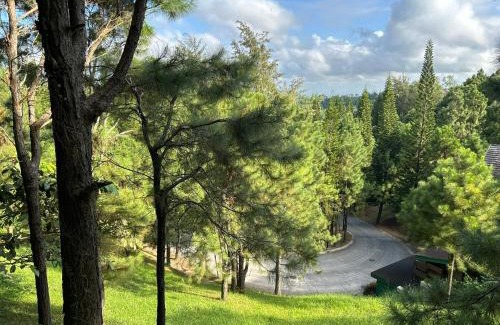 Canlubang Apartment | Alpine Crosswinds Standard 1BR Suite