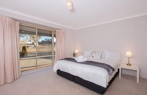 Avonside Other | Premier Alpine Drovers Rest: 10/10 Score & Family-Friendly Amenities
