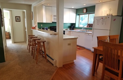 Ouray House | Experience Alpine House: 3 Bed Retreat in Ouray