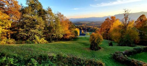 Trzic House | Alpinejka House: Family-Friendly Retreat with Kitchen Access
