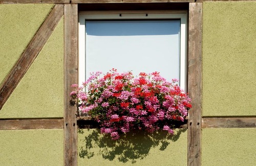 Ottmarsheim Hotel | Comfortable Als Hôtel: Pet-Friendly & Family Welcoming