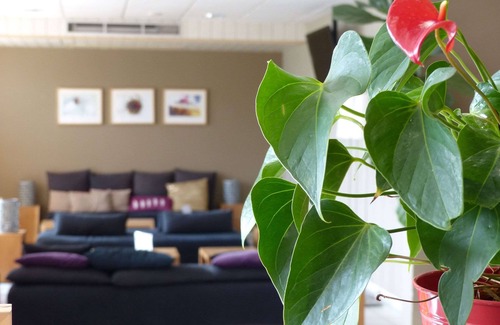 Ottmarsheim Hotel | Welcoming ALS Hotel: Family-Friendly with Great Amenities