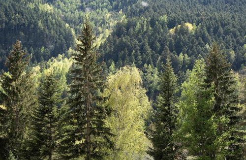 Acceglio Apartment | Family-Friendly Retreat at Alta Valle Maira with Pets Welcome