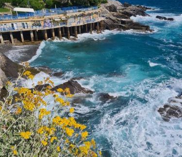 Bogliasco Apartment | Discover Altamarea: Family & Pet-Friendly Getaway