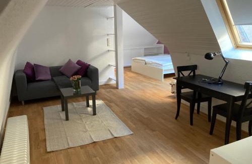 Heidelberg City Centre Apartment | Discover Comfort at Alte Brücke - Rated 9.3/10, Family-Friendly