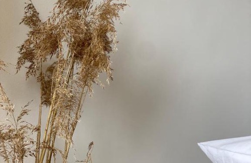 Poecking Bed & Breakfast | Discover Alte Mühle Maising: Pet Friendly & Family Fun