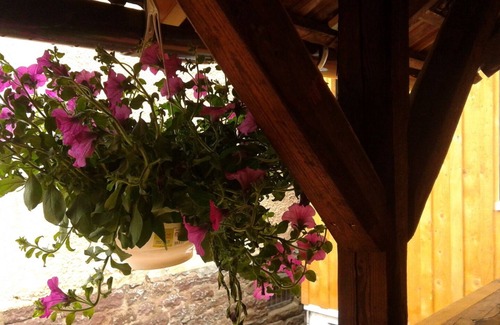 Calmbach Apartment | Top-Rated Alte Schmiede: Cozy 1BR Apartment for 3 Guests