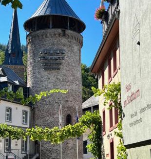 Traben-Trarbach Apartment | Discover Alte Schmiede zu Trarbach: Pet-Friendly Retreat
