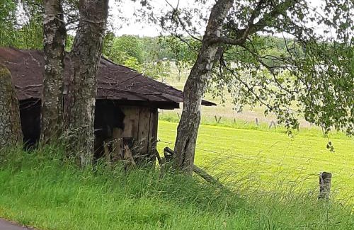 Steinen Apartment | Oceanfront Retreat at Alte Schule Steinen - Rated 9.3/10