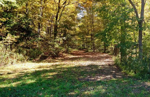 McArthur Other | Pet-Friendly Altenbrauch Farm: Top-Rated Camping Experience