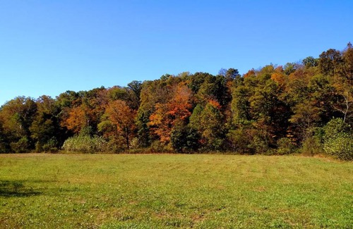 McArthur Other | Pet-Friendly Altenbrauch Farm: Top-Rated Camping Experience