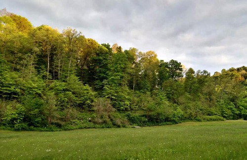 McArthur Other | Pet-Friendly Altenbrauch Farm: Top-Rated Camping Experience