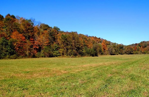 McArthur Other | Pet-Friendly Altenbrauch Farm: Top-Rated Camping Experience