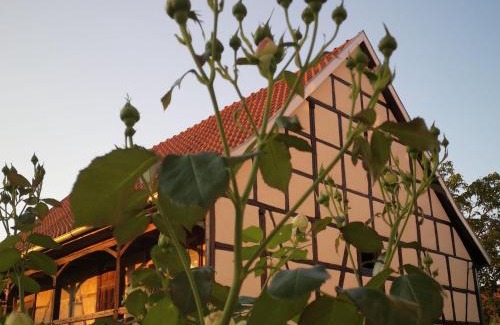 Weissensee Apartment | Guest Rated 9.4: Altes Standesamt Weißensee for Families
