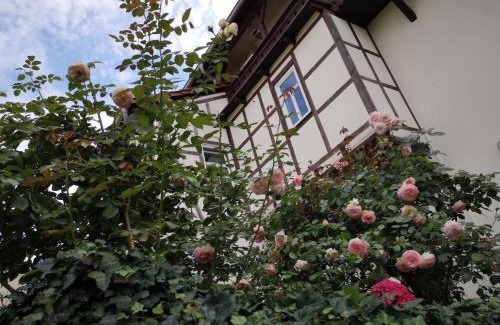 Weissensee Apartment | Guest Rated 9.4: Altes Standesamt Weißensee for Families