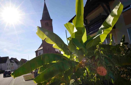 Fischbach bei Dahn Apartment | Top-Rated Altes Zollhaus Fischbach: Family & Accessible Stays