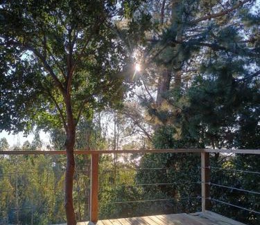 Curanipe House | Pet-Friendly Alto Curanipe with Breakfast & Hot Tub Awaits