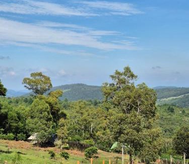 Caraa House | Inviting Alto da Colina: 4-Star Pet-Friendly Getaway