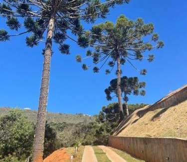 Agua Santa House | Discover Alto da Reserva: 4-Star Family-Friendly Retreat