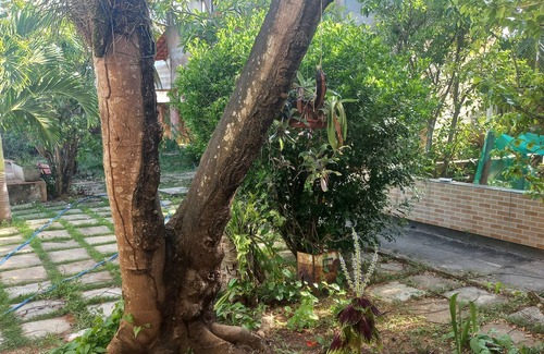 Jaua House | Cozy Room for Rent in a Family-Friendly Home
