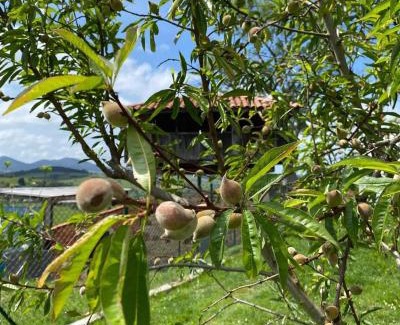 Ferrones House | Child-Friendly Alvares de Corvera - Guest Rated 9.9/10