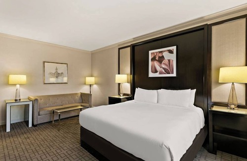 Downtown Baltimore Hotel | Perfect Escape Near Baltimore Museum of Art & Pet-Friendly