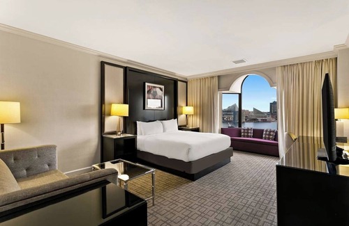 Downtown Baltimore Hotel | Perfect Escape Near Baltimore Museum of Art & Pet-Friendly