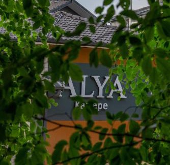 Kartepe Hotel | Discover Alya Kartepe Villa Hotel: Pet-Friendly Oasis