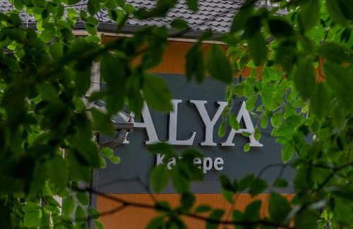 Kartepe Hotel | Discover Alya Kartepe Villa Hotel: Pet-Friendly Oasis