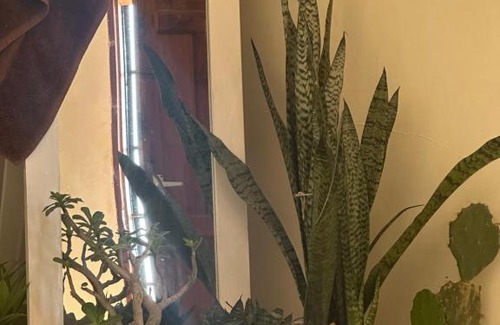 Central Province Villa | Alys house