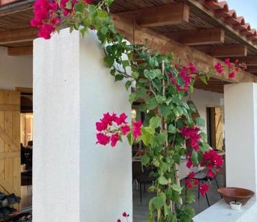 Grandola House | Discover Amélia's House: 4-Star Oceanfront Retreat