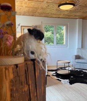 Bettmeralp Apartment | Relax at am Bärgbach 1.OG - Pet and Child-Friendly Stay