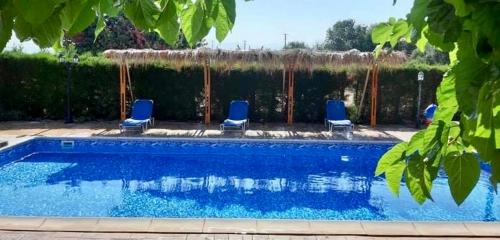 Latchi Apartment | Pet-Friendly Amalia Apartments with Oceanfront Pool Access