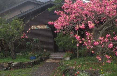 Tatsugo House | Explore Amami Oshima's Wilderness: Perfect Family Retreat