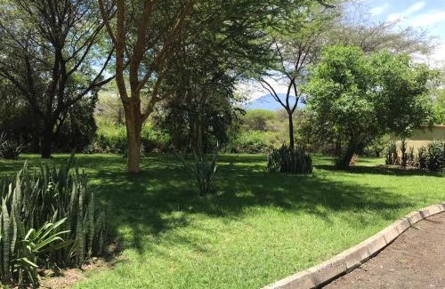 Arusha Hotel | Discover Amani Villa: Family-Friendly Stay with Pool & Dining