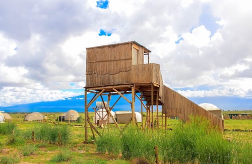 Amboseli RV Rental | Cozy 1-Bed Leopard Family Campsite with Mt Kilimanjaro Views